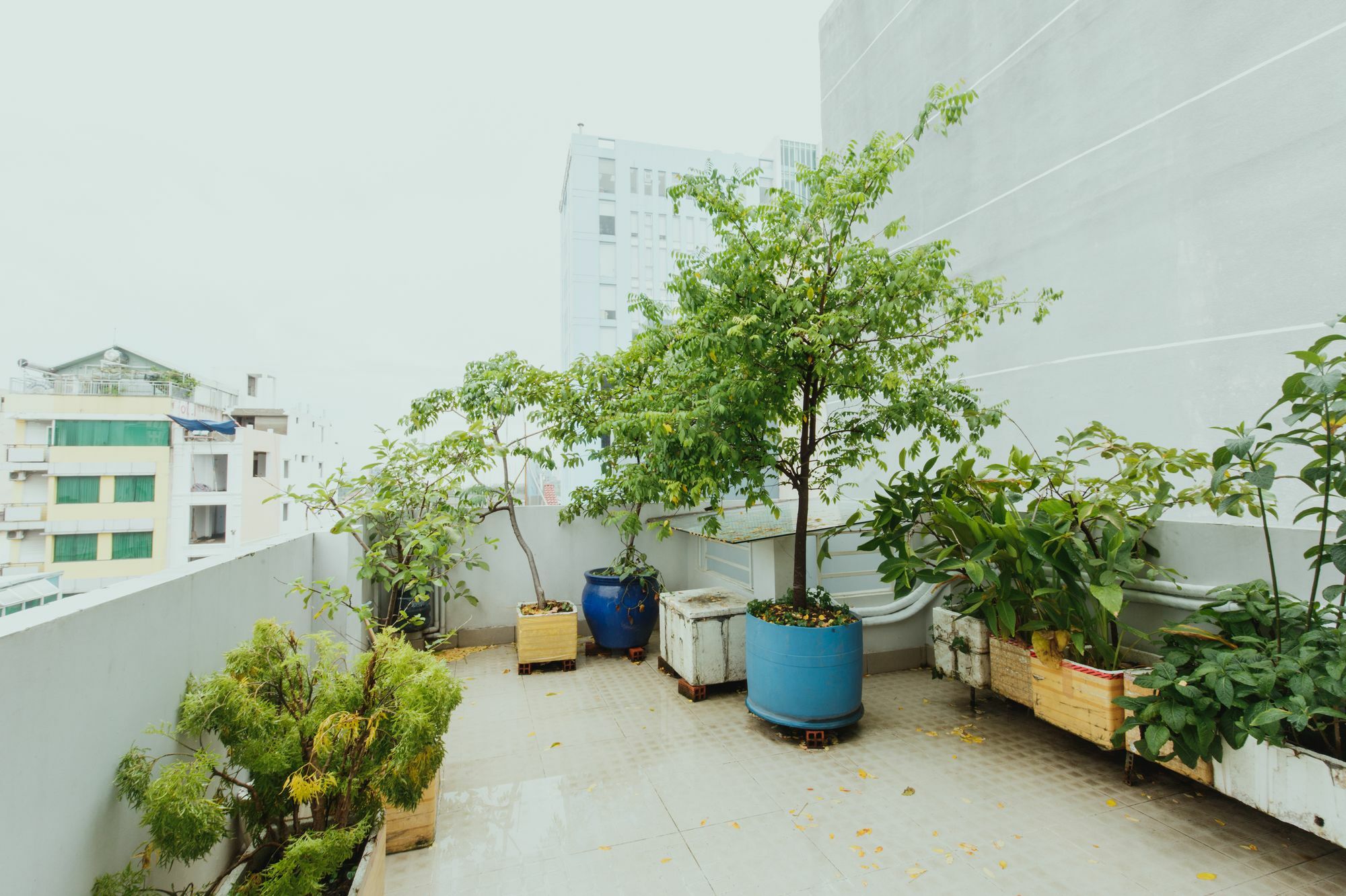 ホーチミン市Urban House Saigon 2アパートメント エクステリア 写真